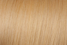 Load image into Gallery viewer, WS Invisible Tape Hair Extensions | euronaturals Classic Remi | #24 Medium Golden Blonde