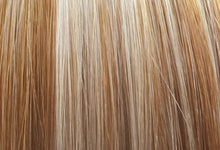 Load image into Gallery viewer, WS Clip-in Hair Extensions | euronaturals Premium Remy | #10/14 Highlighted
