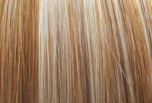 Load image into Gallery viewer, WS Clip-in Hair Extensions | euronaturals Premium Remy | #10/60 Highlighted
