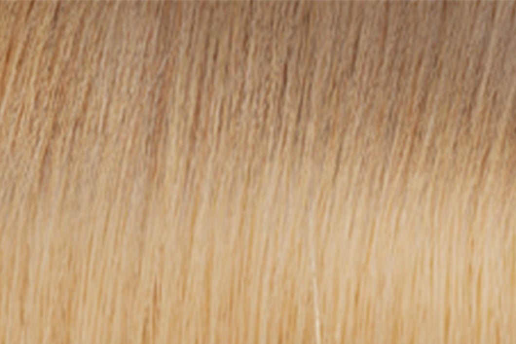 WS Tape-in Hair Extensions | euronaturals Premium Remi | #12/613 Rooted
