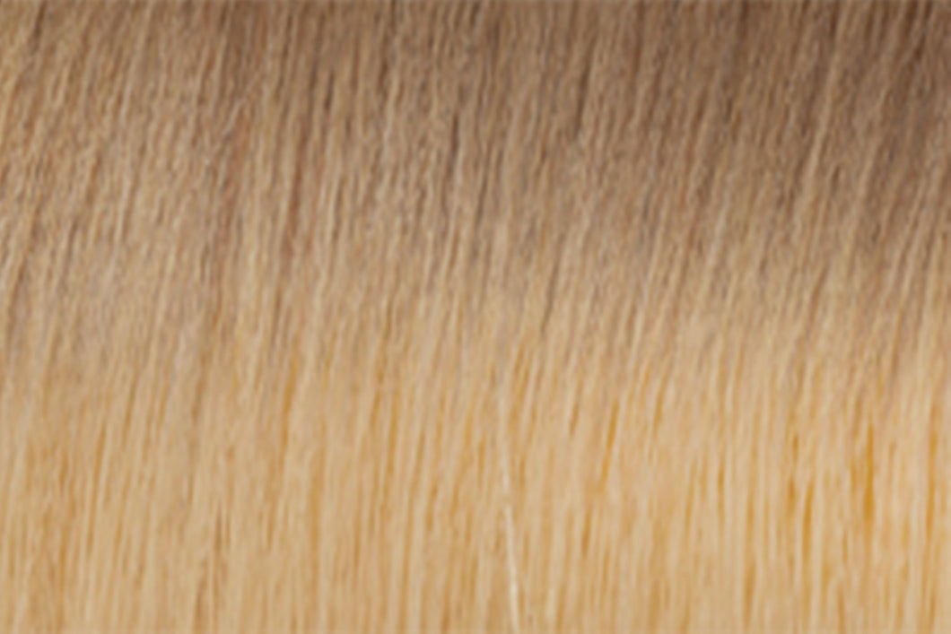 WS Fusion Hair Extensions | euronaturals Premium Remi | #12/22 Ombre