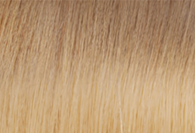 WS Machine-Sewn Hair Weft | euronaturals Premium Remi | #12/613 Ombre