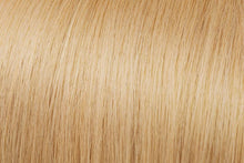 Load image into Gallery viewer, WS Clip-in Hair Extensions | euronaturals Premium Remy | #14 Sandy Blonde
