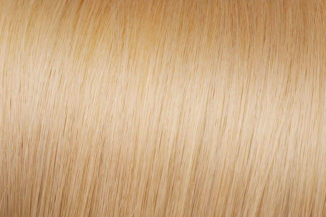 Clip-in Hair Extensions | euronaturals Premium Remi | #24 Medium Golden Blonde