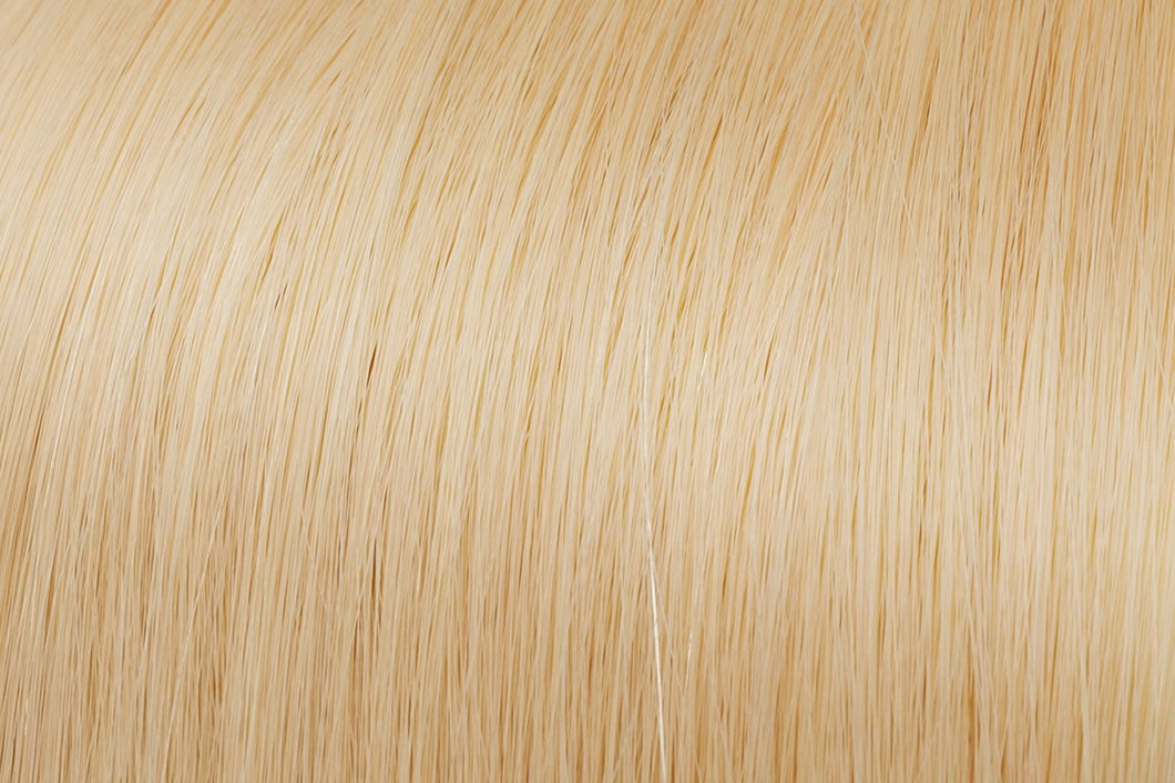 WS Ponytail | euronaturals Premium Remi | #613 Lightest Natural Blonde