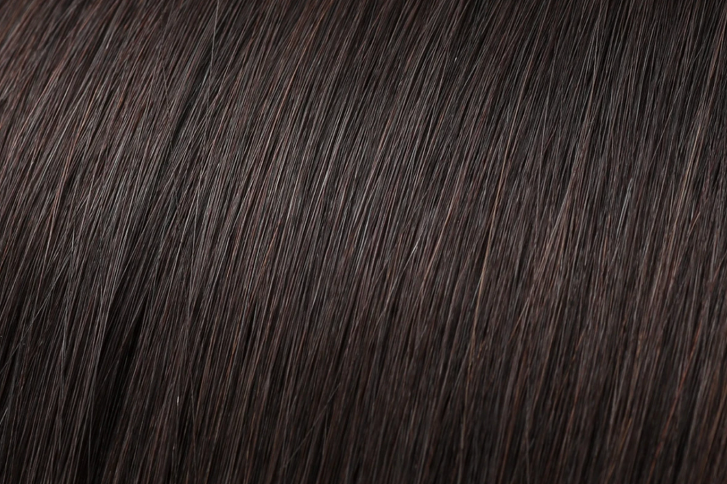 WS iLoc Hair Extensions | euronaturals Elite Remi | #2B Darkest Brown