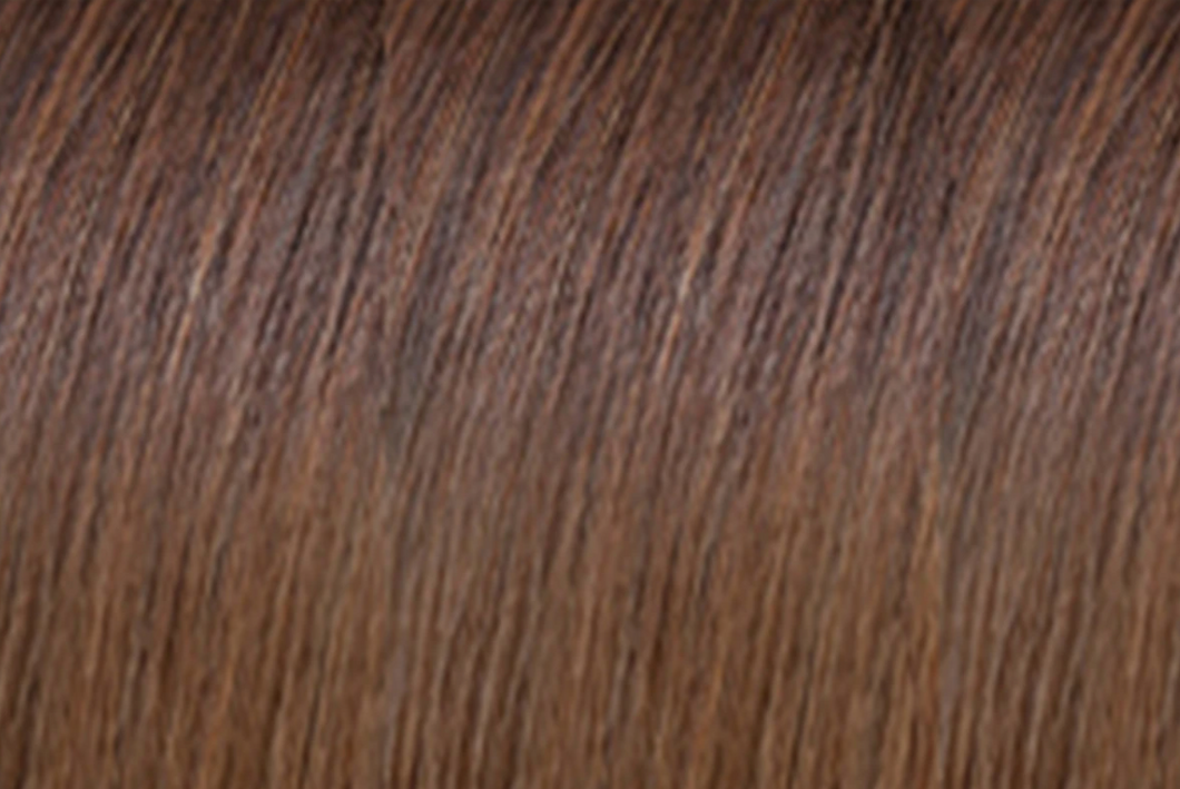 WS Fusion Hair Extensions | euronaturals Premium Remi | #4/8 Ombre